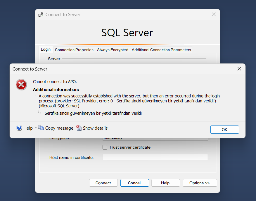 [Çözüldü] SQL Server Bağlantı Hatası: Network-related or instance-specific error (2025 Güncel)